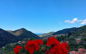 Camera Tra Le Cinque Terre, Camogli E Portofino. Vista Valle E Scorcio Mare All'Orizzonte
