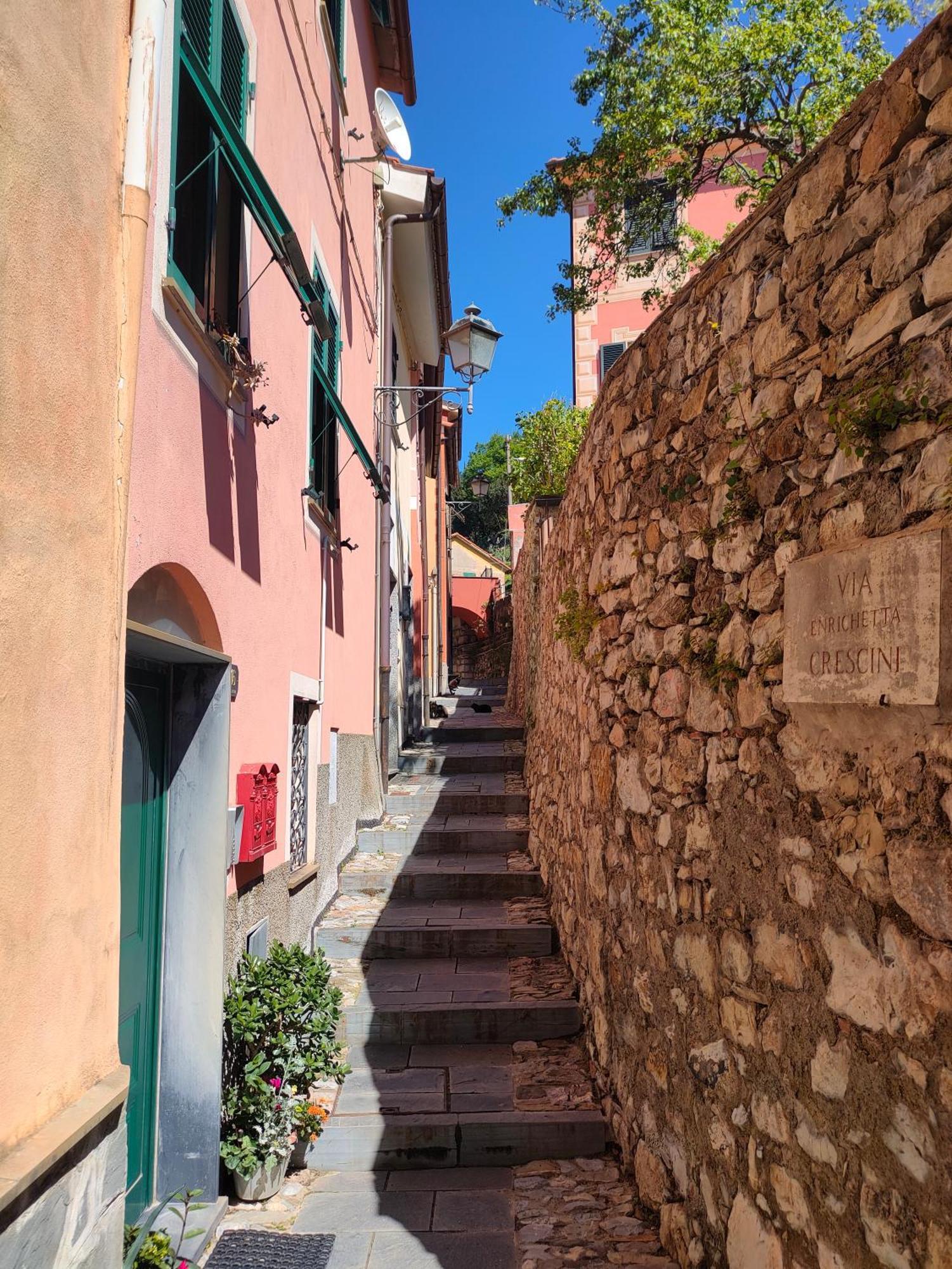 Camera Tra Le Cinque Terre, Camogli E Portofino. Vista Valle E Scorcio Mare All'Orizzonte Castiglione Chiavarese Exterior foto